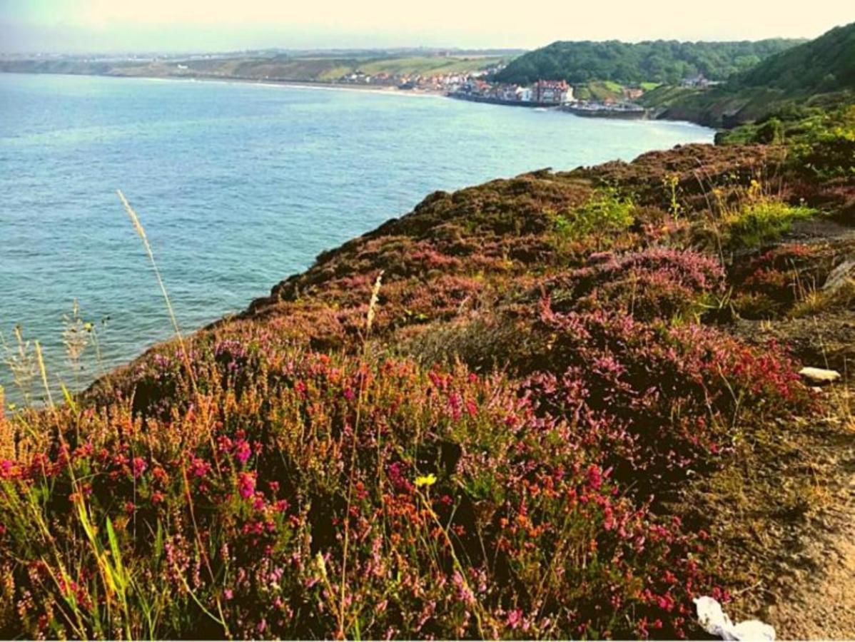 Holiday home The Look Out-yorkshire Coast Lets