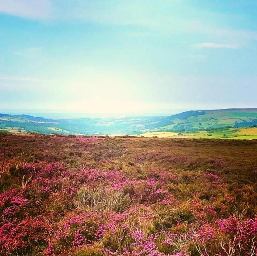 The Look Out-yorkshire Coast Lets Holiday home